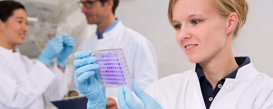 Development of novel, modified release Solid Oral dosage forms